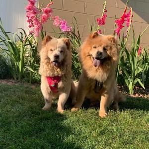 Meet your Posher, Marisol